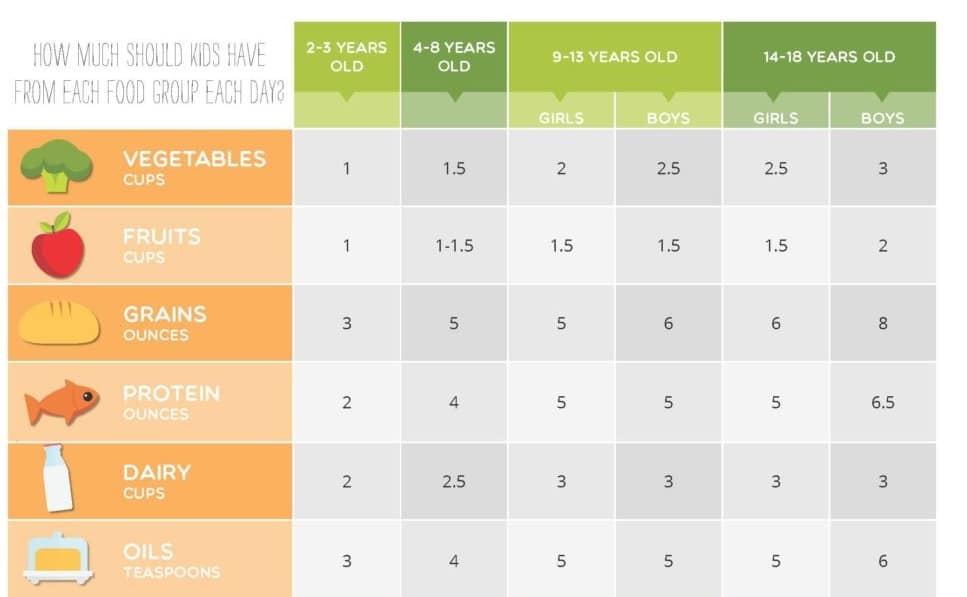 Right Portion Sizes For Weight Loss - All Info In Our Guide 2024