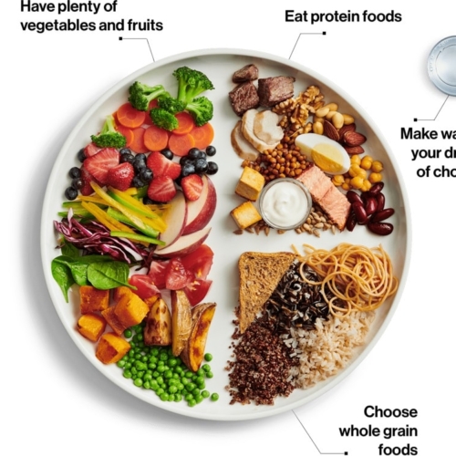 Canadas food guide or food plate