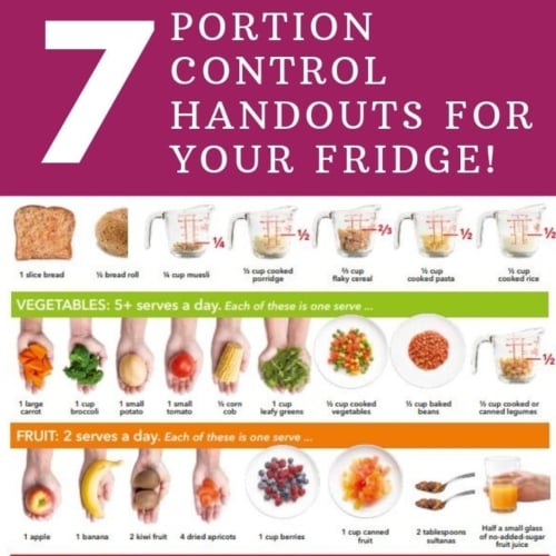 list of portion control handouts