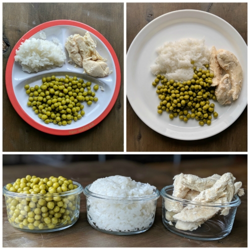 Portion plate vs dinner plate