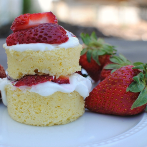 low calorie mug cake