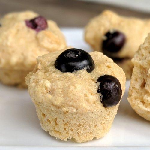 Kodiak mini muffins with blueberries