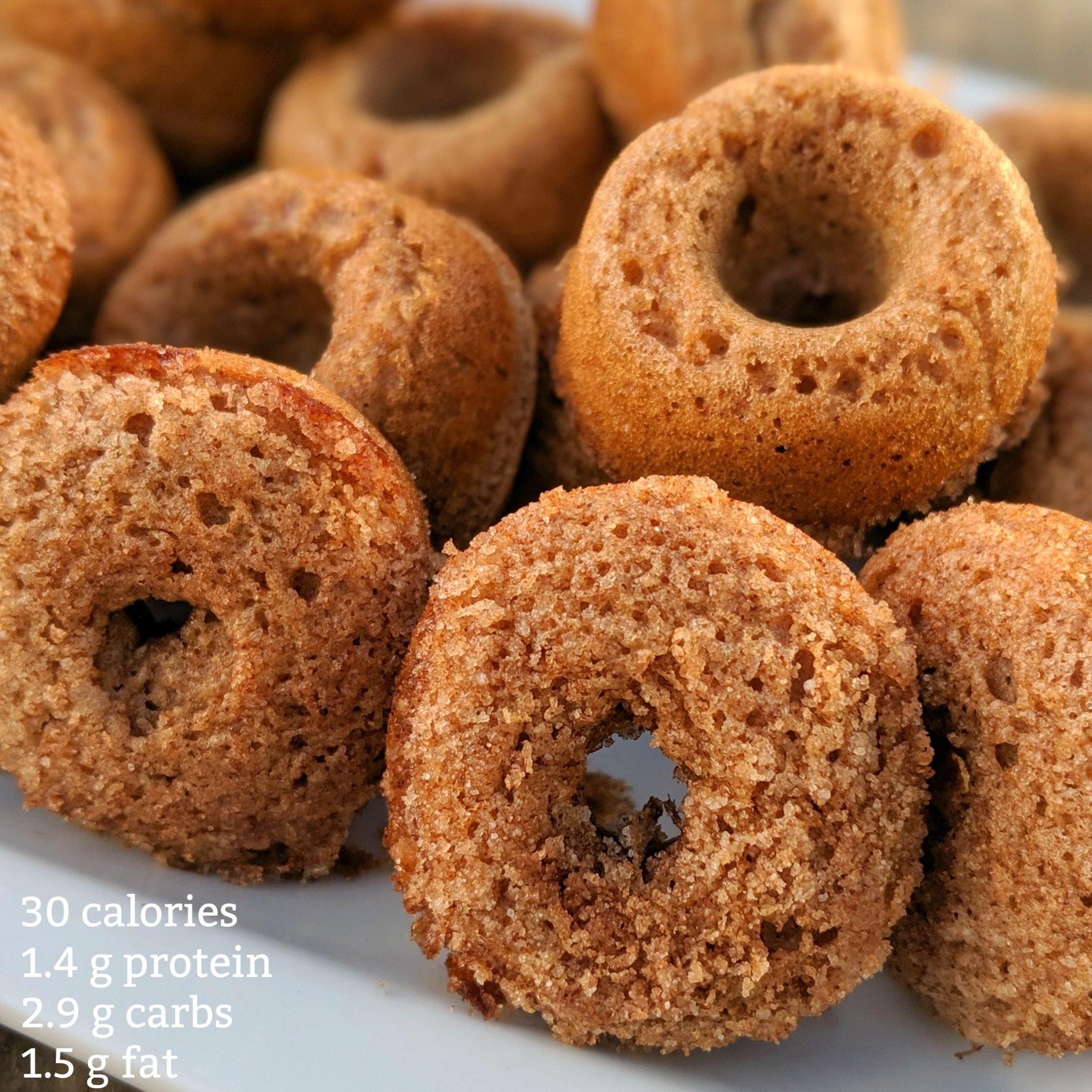 Homemade Cinnamon Protein Donut Recipe Health Beet