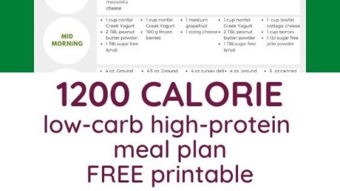1200 calorie low carb high protein low fat meal plan with a free printable