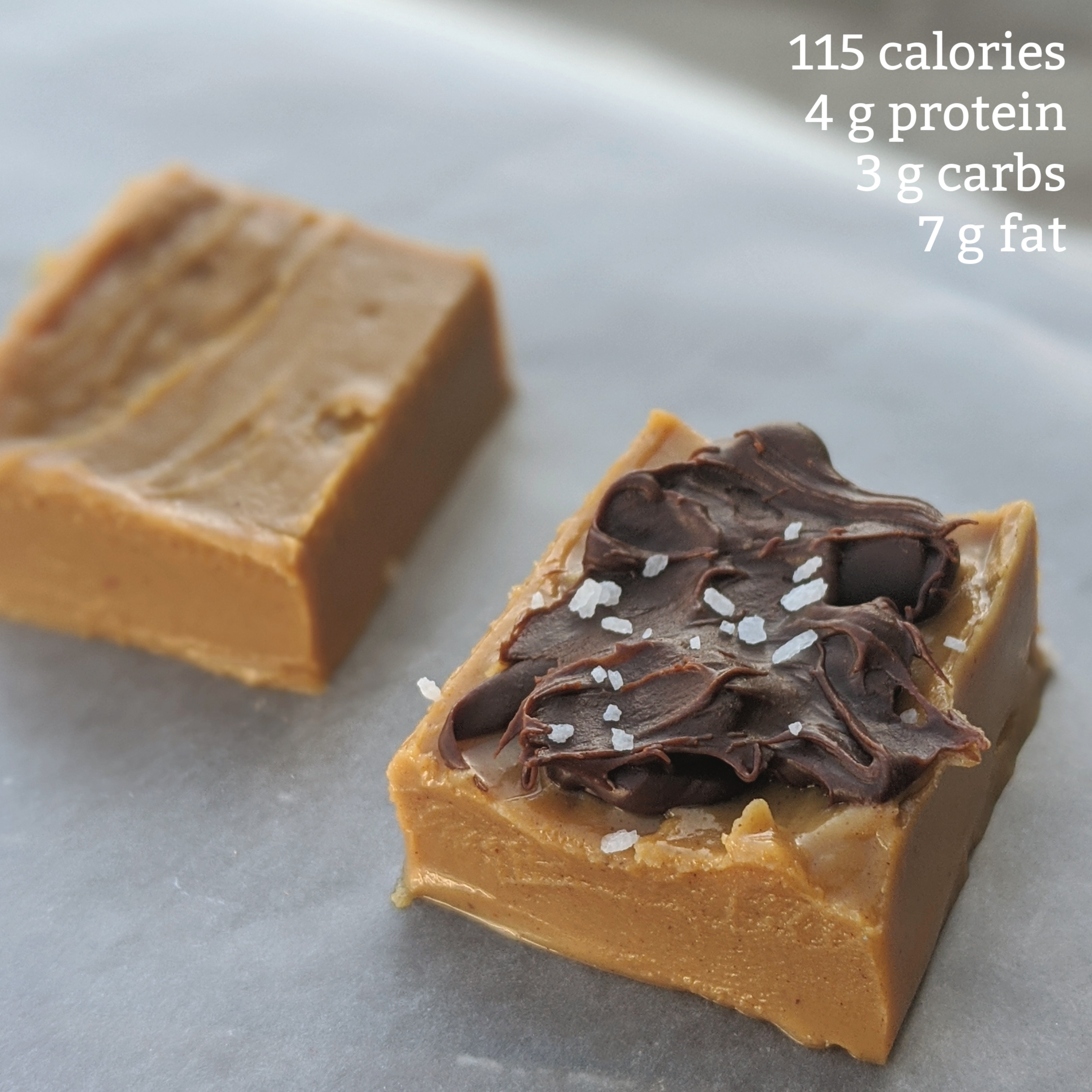 Healthy 4 Ingredient NoBake Chocolate Peanut Butter Bars (with Protein