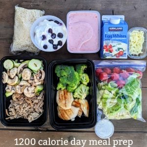 1200 calorie high protein diet