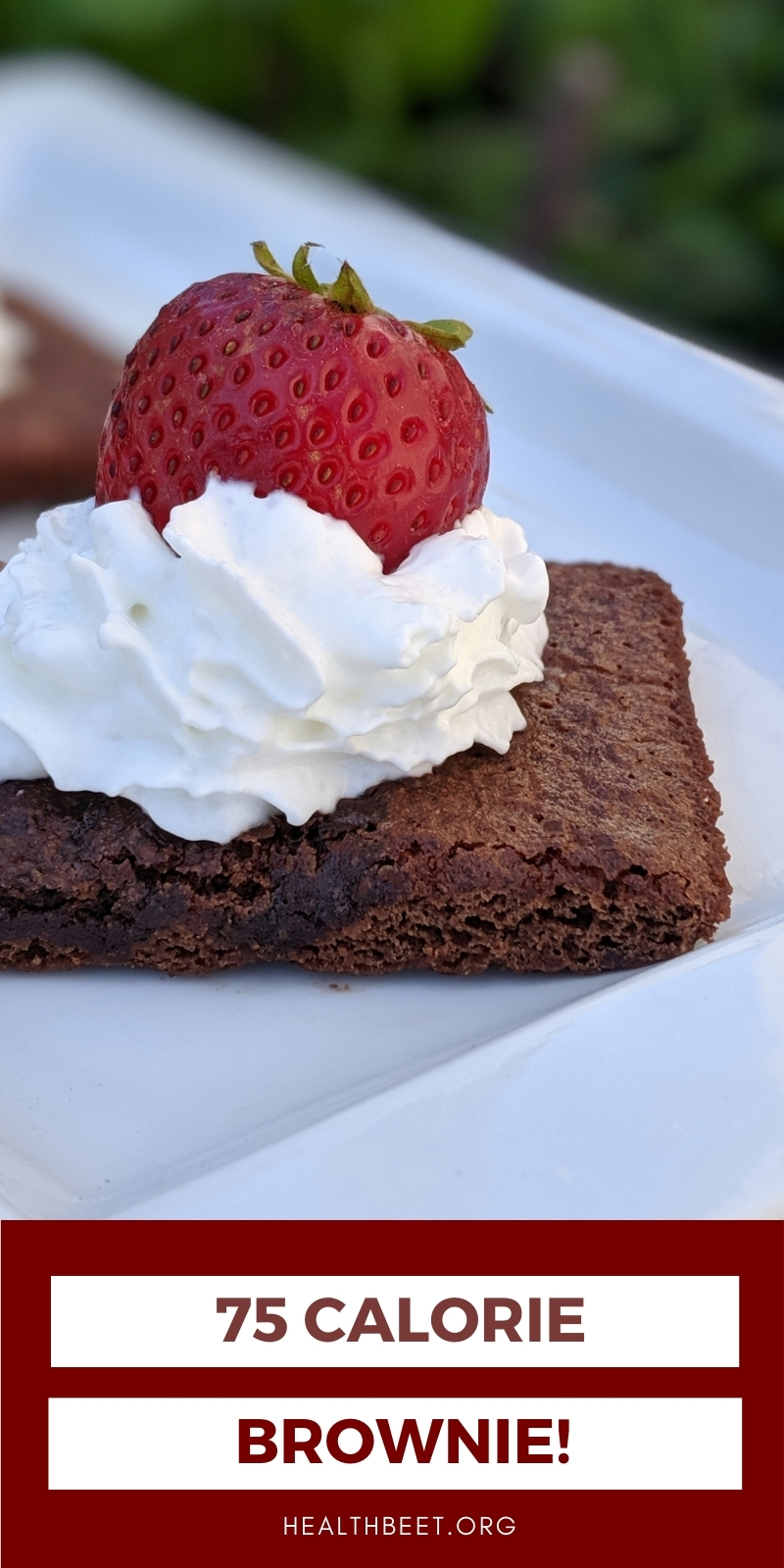 Tasty 75 Calorie Brownie From a Brownie Mix Health Beet