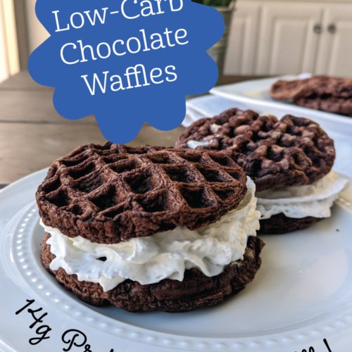 Low-Carb Chocolate Waffle Flower Pin 1000x1500