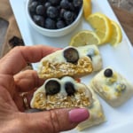 Lemon Blueberry Protein Bars Cross Section 1200x1200