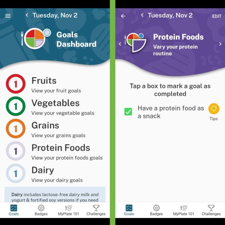 MyPlate App Review Health Beet