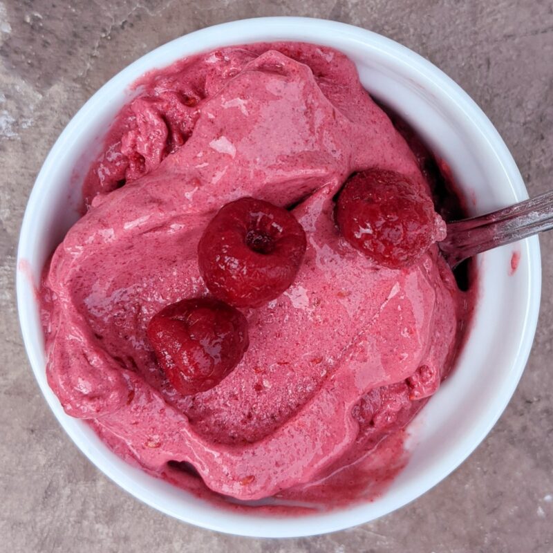 3 Ingredient Best Protein Berry Ice Cream Recipe Health Beet