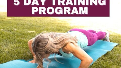 5 day training split