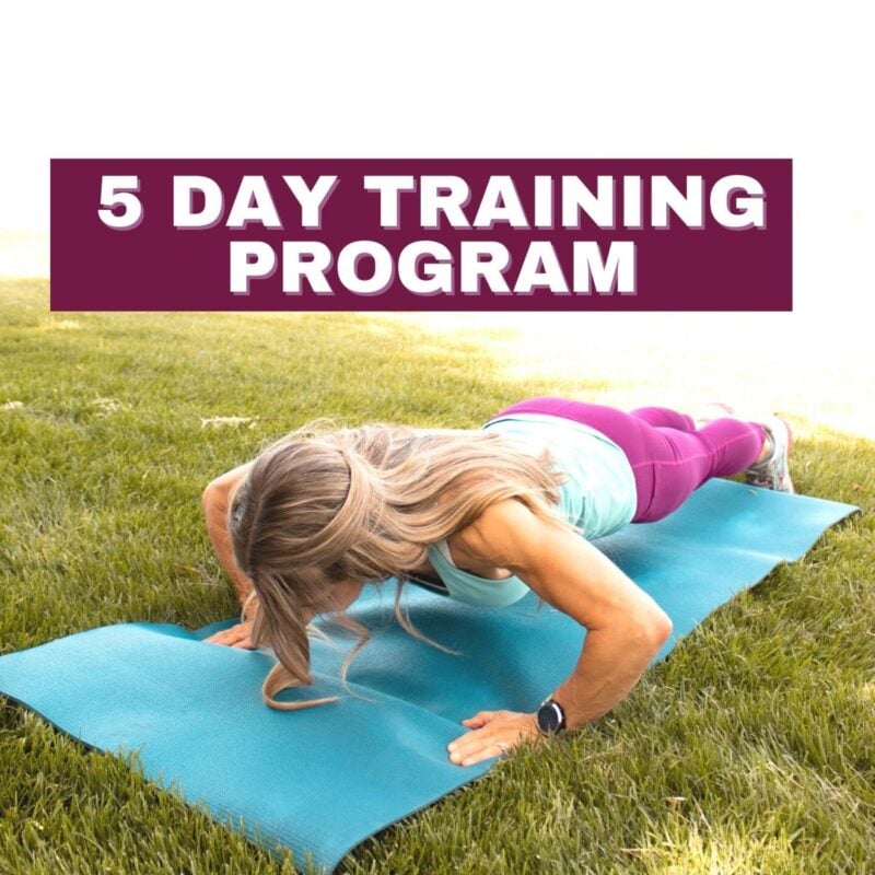 5 day training split