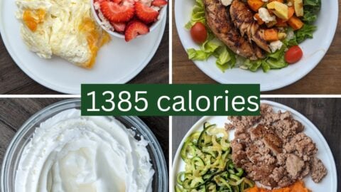 72 days to go 1385 calorie day