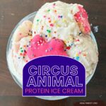 circus animal protein ice cream in ninja creami