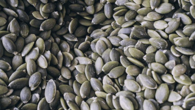 pumpkin-seeds-plant-protein-health