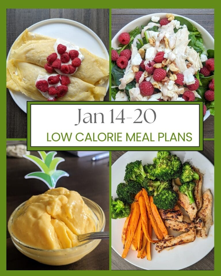 Jan 15-20 low calorie meal plan
