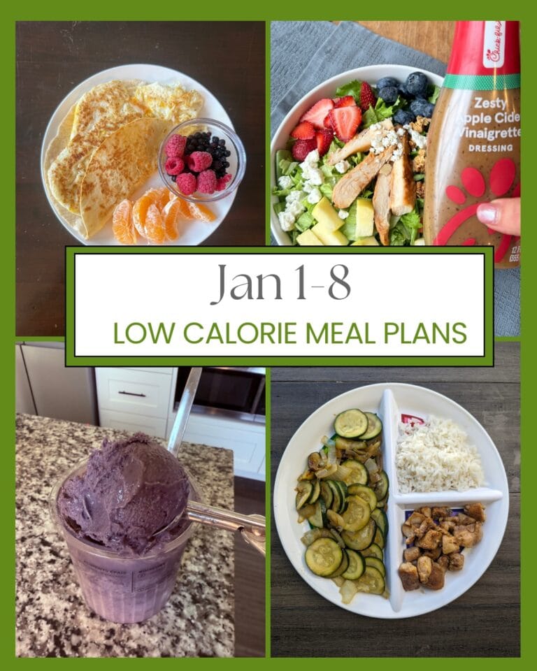 jan 1-8 low calorie meal plan