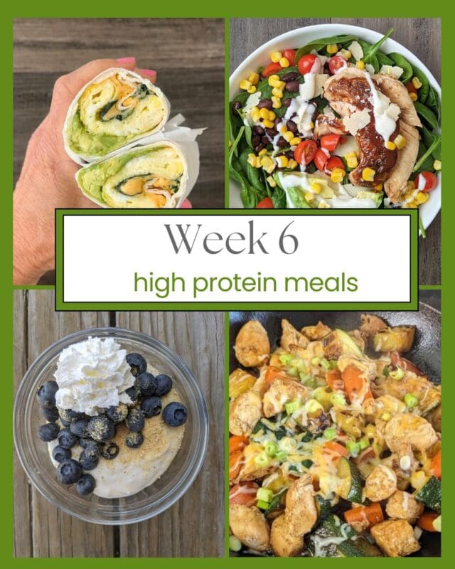 week 6 high protein meals