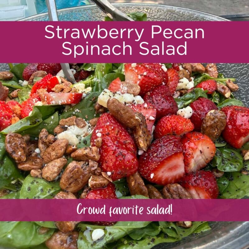 strawberry pecan spinach salad